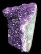 Dark Purple Amethyst Cut Base Cluster - Uruguay #36495-1